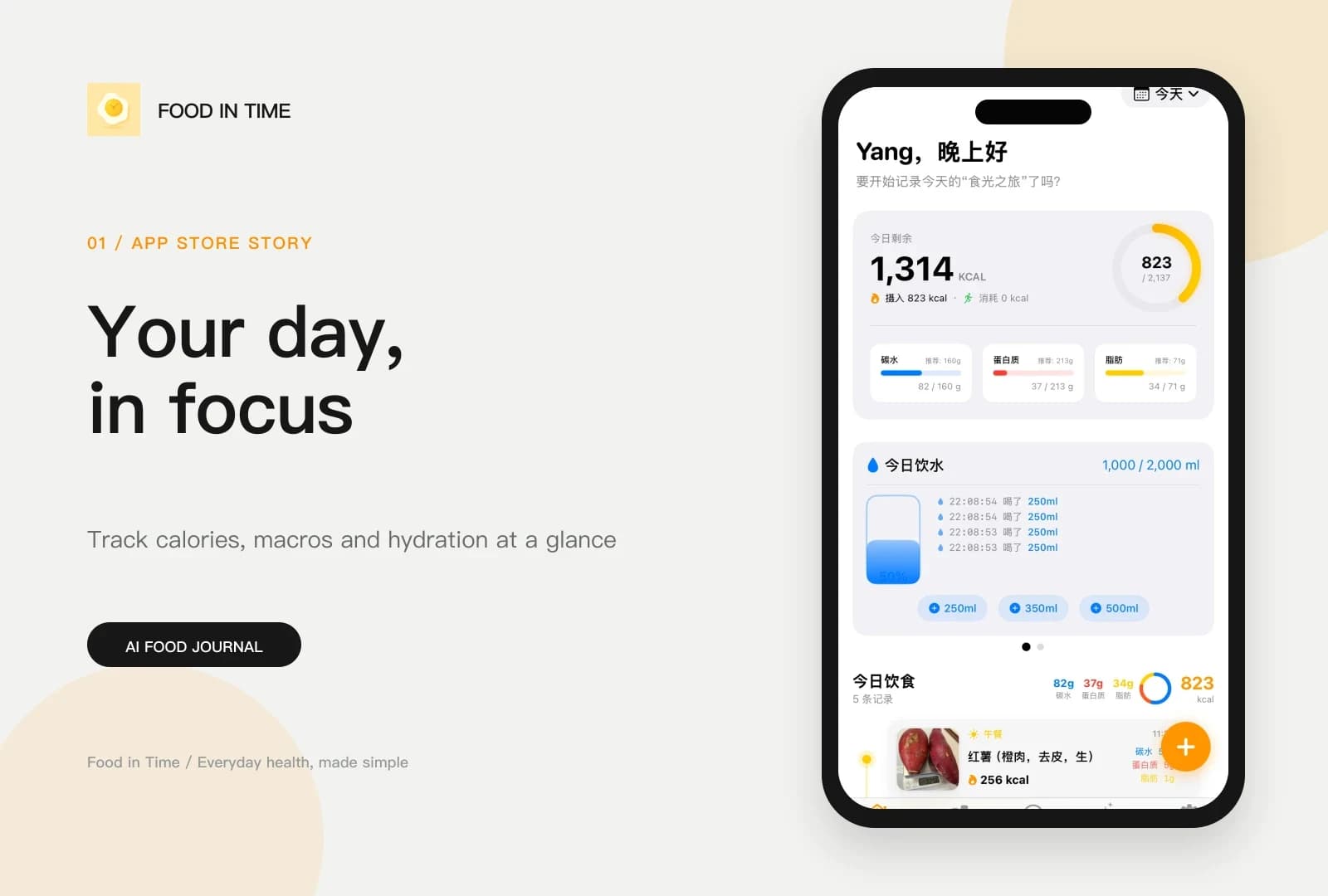 Food in Time English daily nutrition dashboard showcase